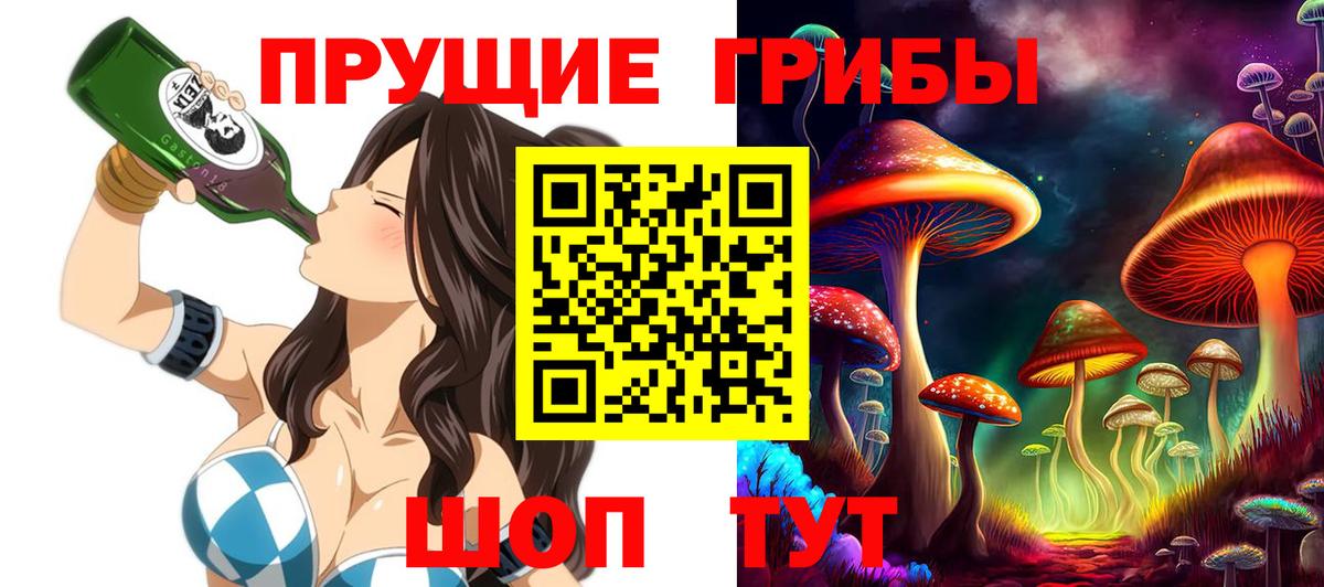 Псилоцибиновые грибы мицелий  Вход с VPN  Новодвинск 