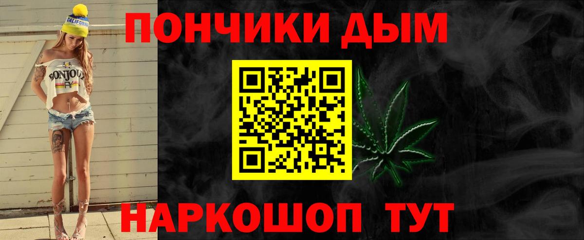 Каннабис сатива Новодвинск
